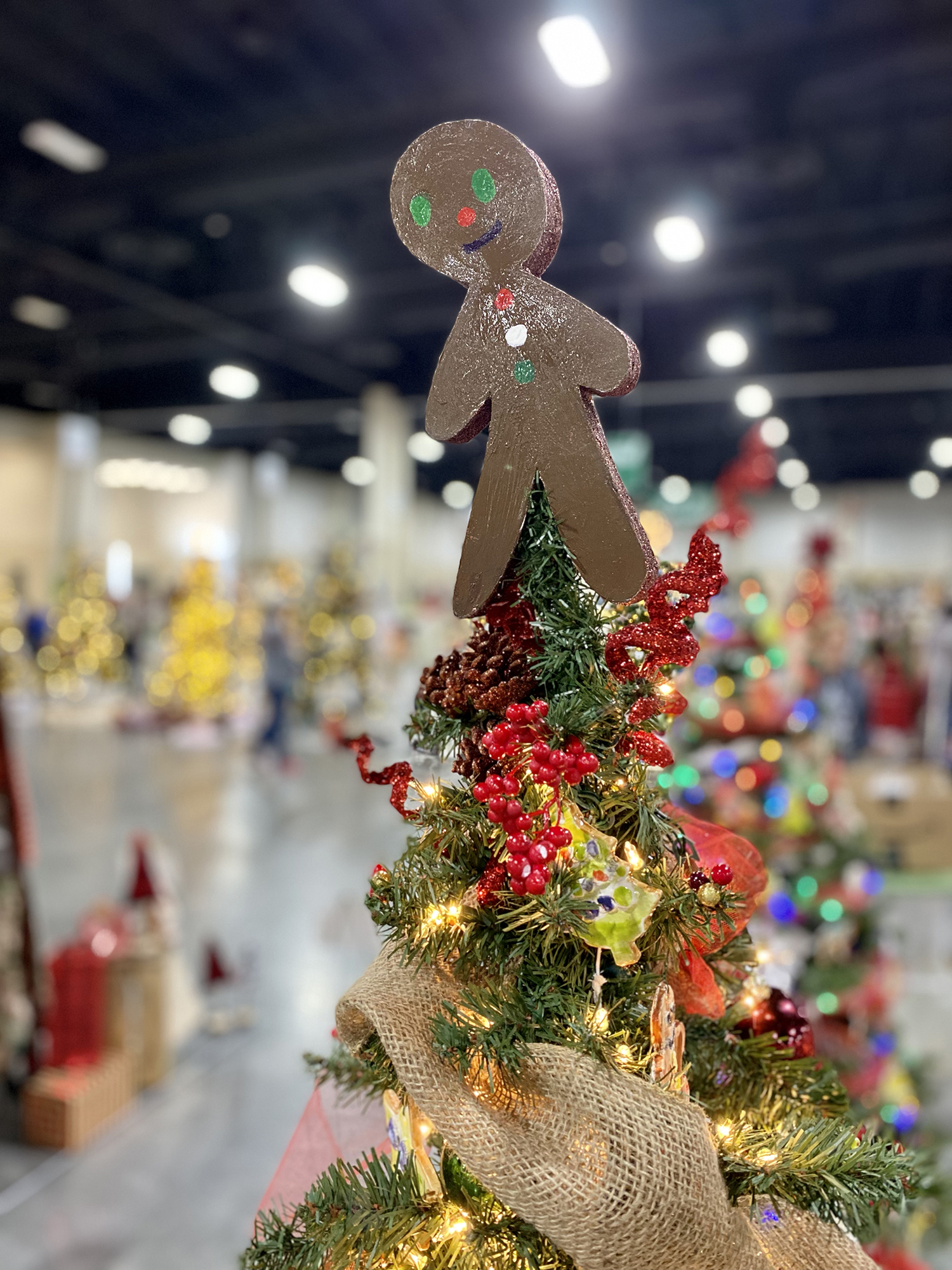 View of tree topper for 3rd grade tree